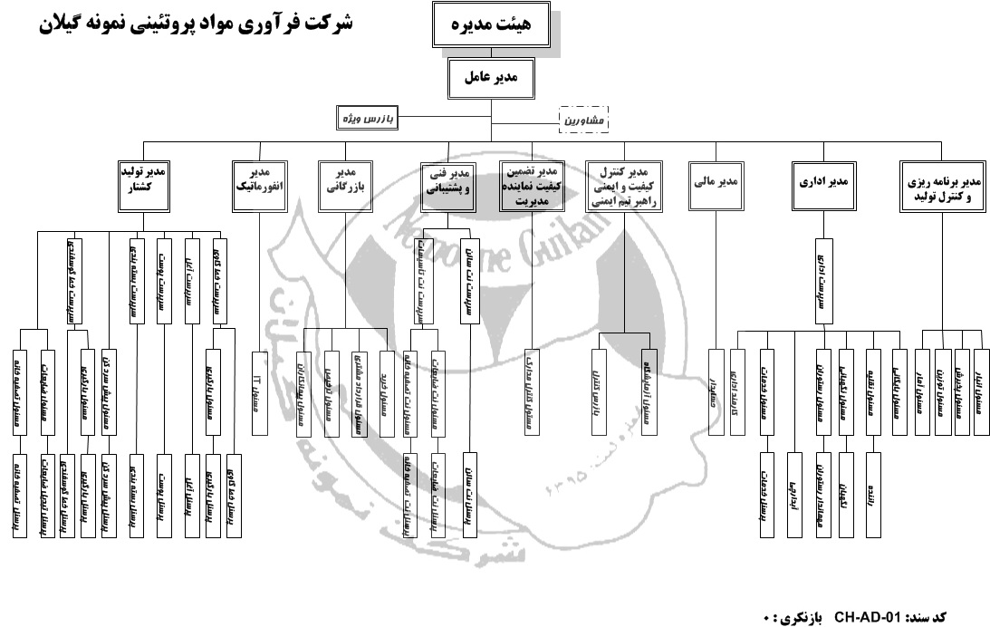چارت سازمانی 