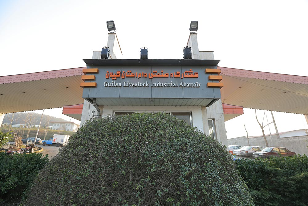 مجموعه 